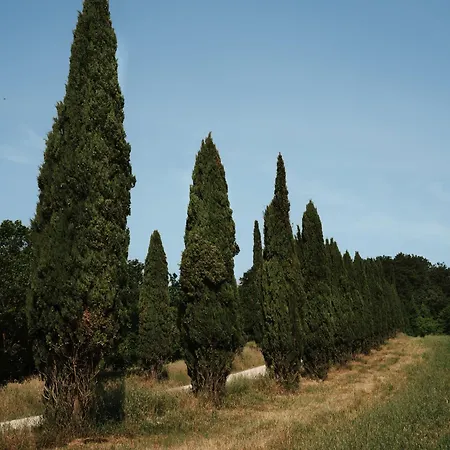 Aparthotel Relais E L'antica Fornace 4*