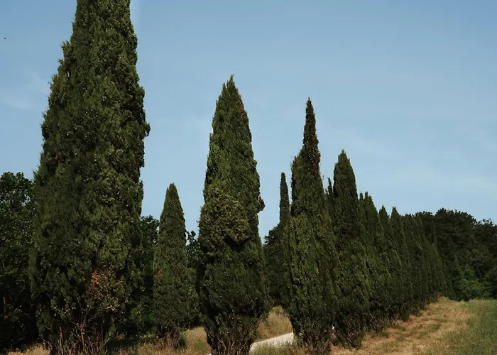 Aparthotel Relais E L'antica Fornace 4*